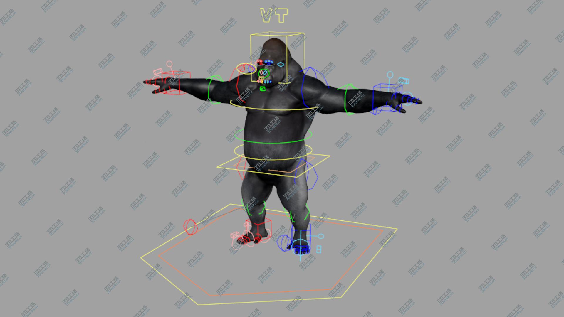 images/goods_img/202104023/silverback gorilla 3D model/5.jpg